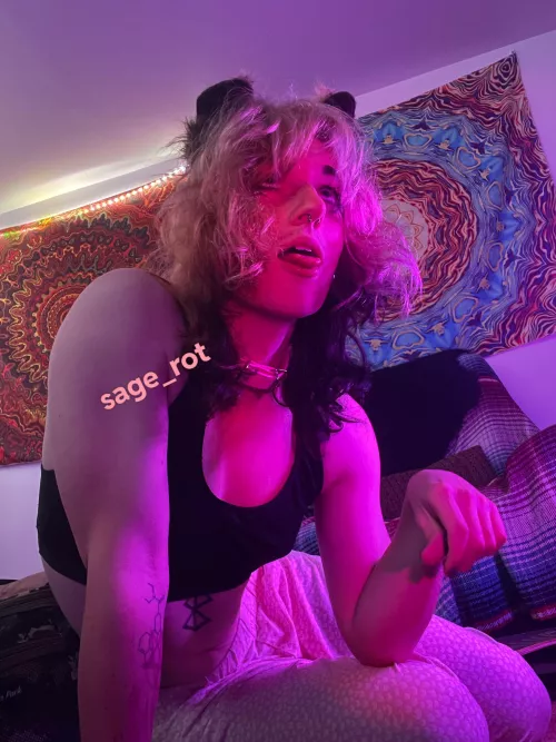 real puppy girl hours by Sage_Rot