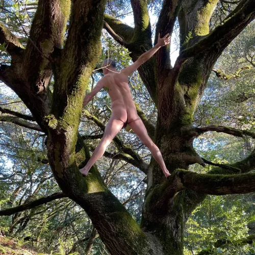 🌳 Tree Pose Tuesday! 🌳 by beachandforestfun