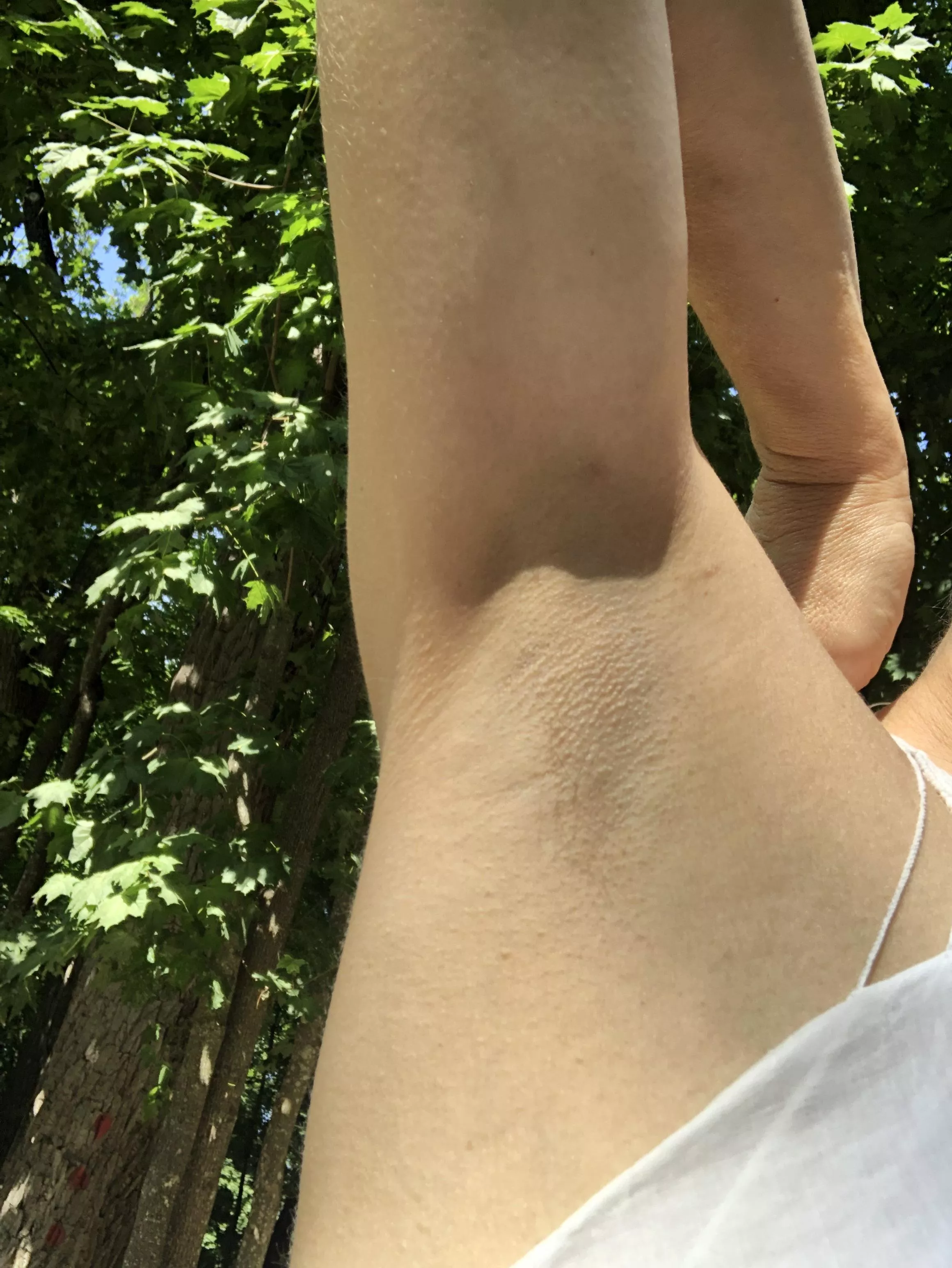 Would you sniff my sexy armpits? posted by Specialist-Fill-8013