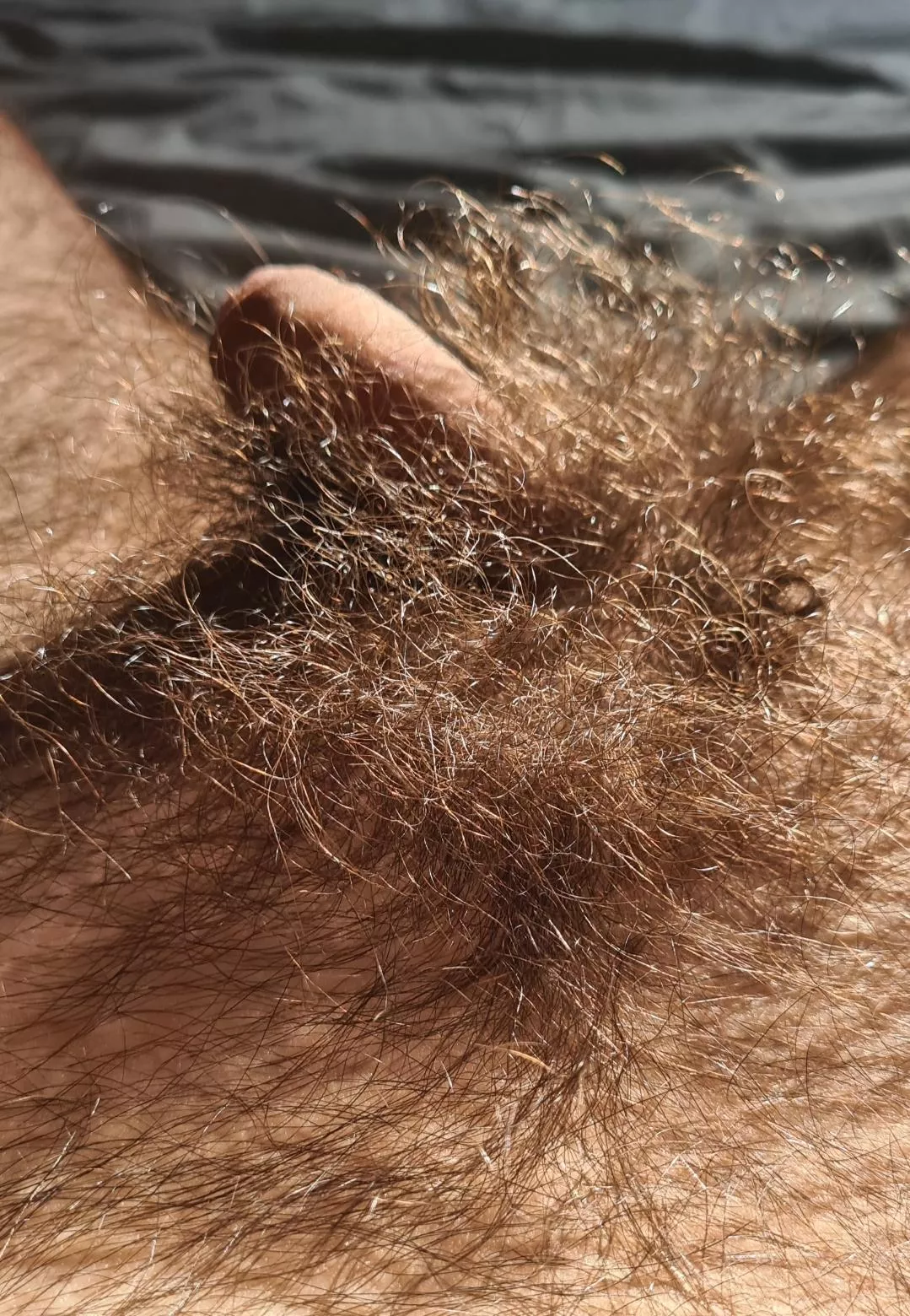 Almost lost in the forest posted by delicioussoftmango