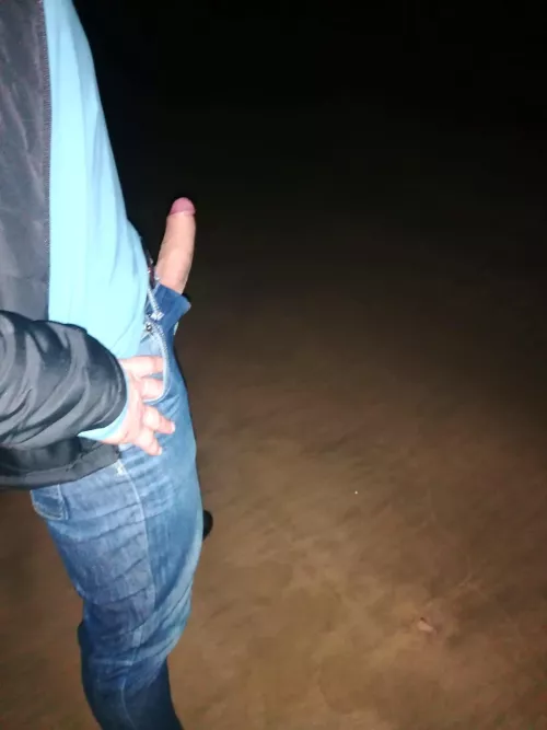 Beach boner by Mysterious68138