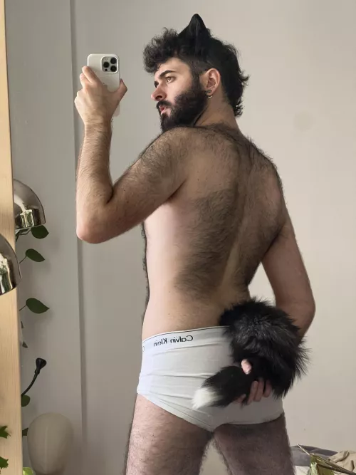 I wanted to be a werewolf for Halloween… need a plan B by PiercedOtter