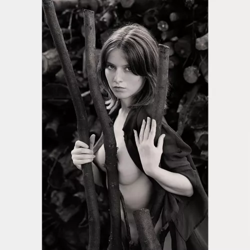 In the woods by DlngoLex