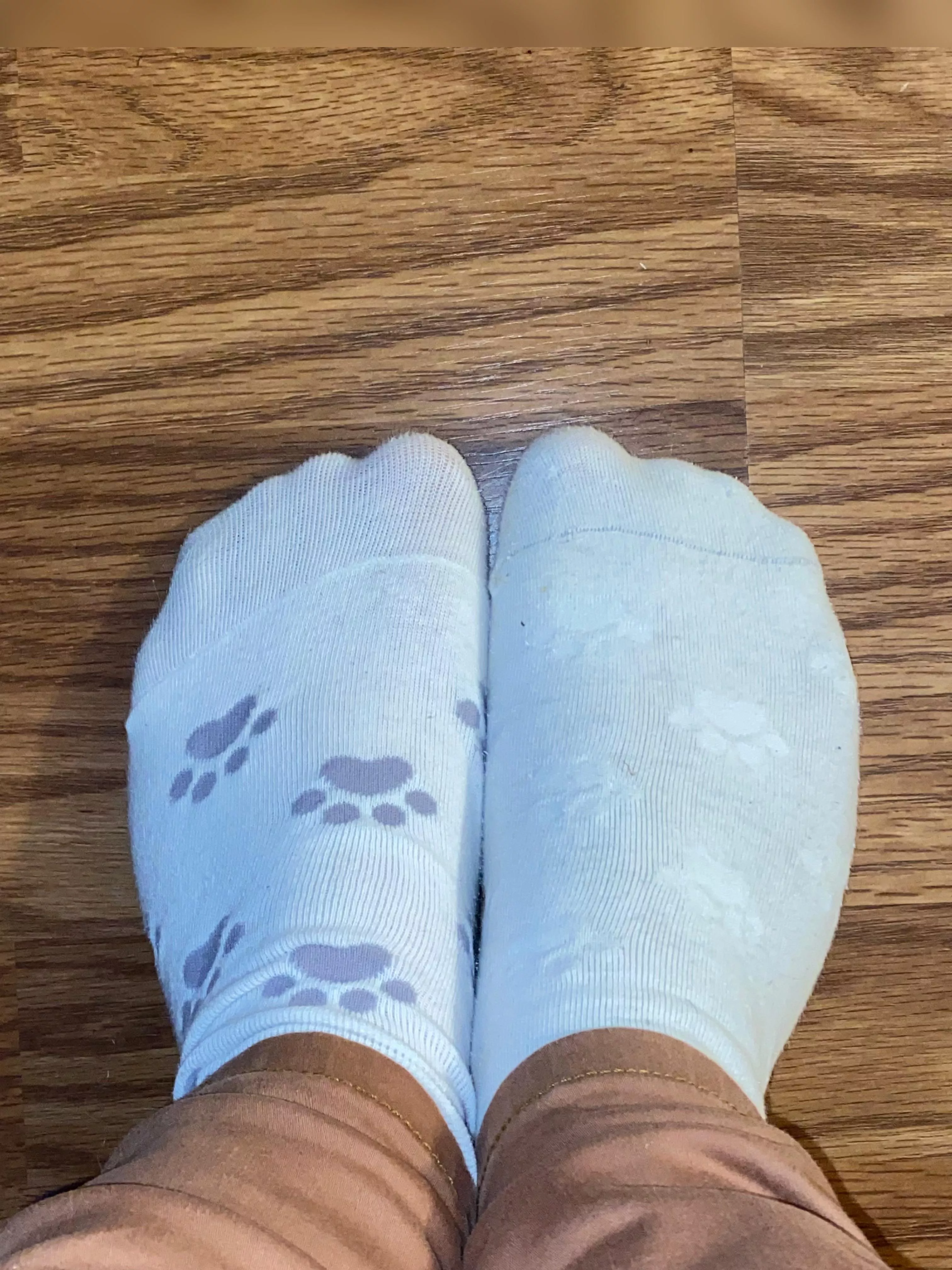 Mismatched kitty socks! posted by GoddessSable