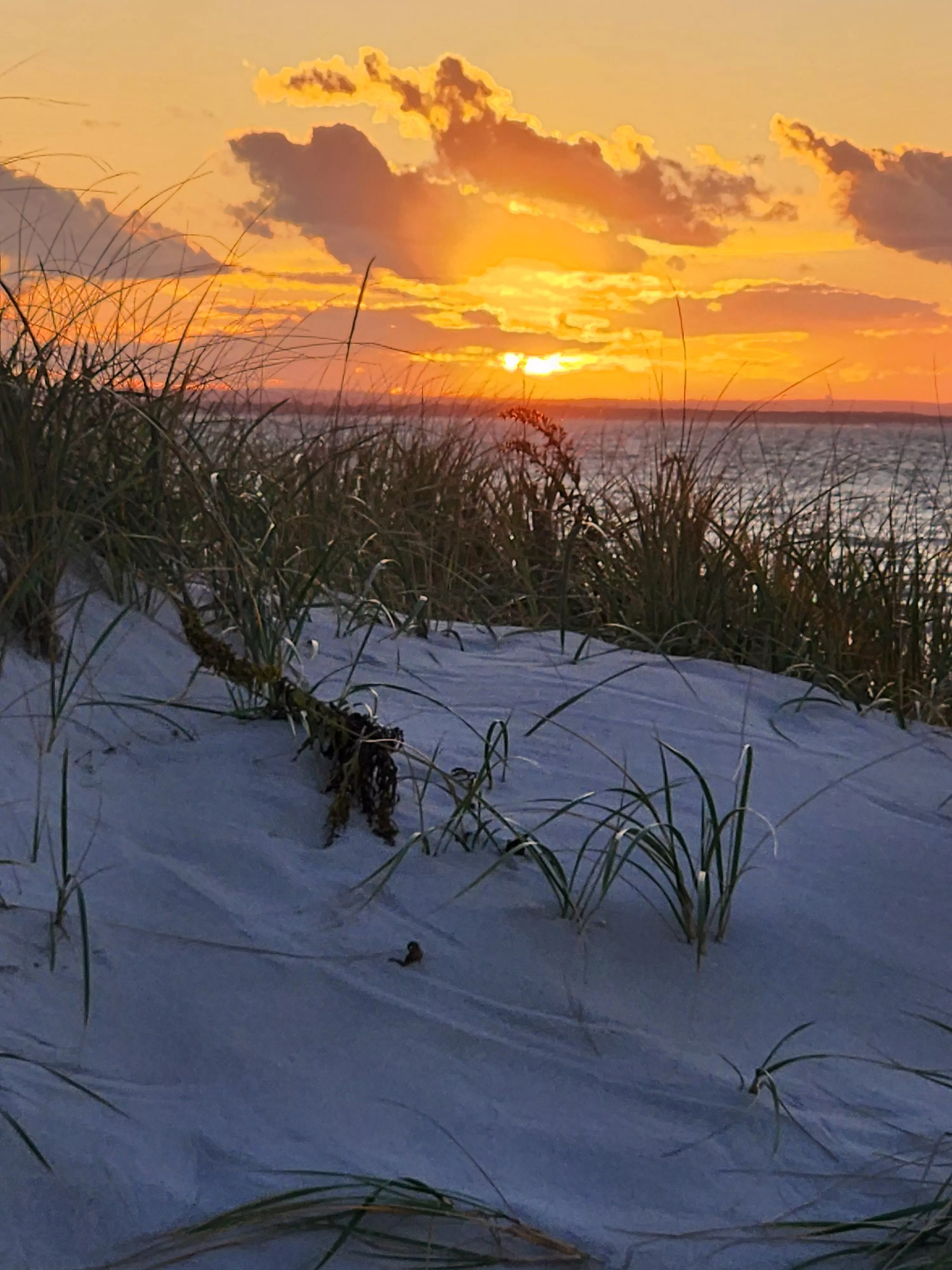 More Cape Cod sunset posted by Intelligent-Cable-43