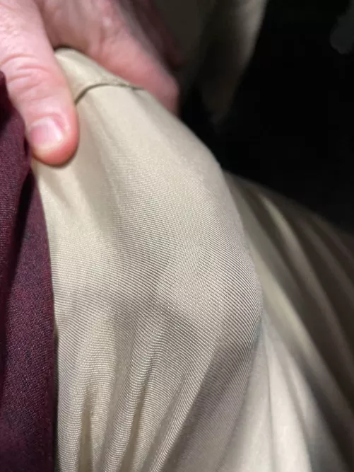 My Work Meeting Could Be Entertaining... by dolphinwax719