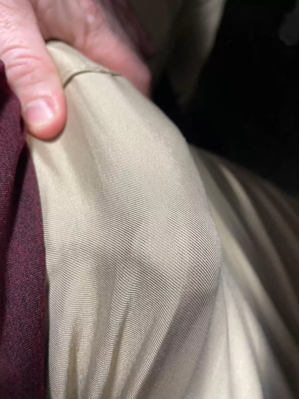 My Work Meeting Could Be Entertaining... posted by dolphinwax719