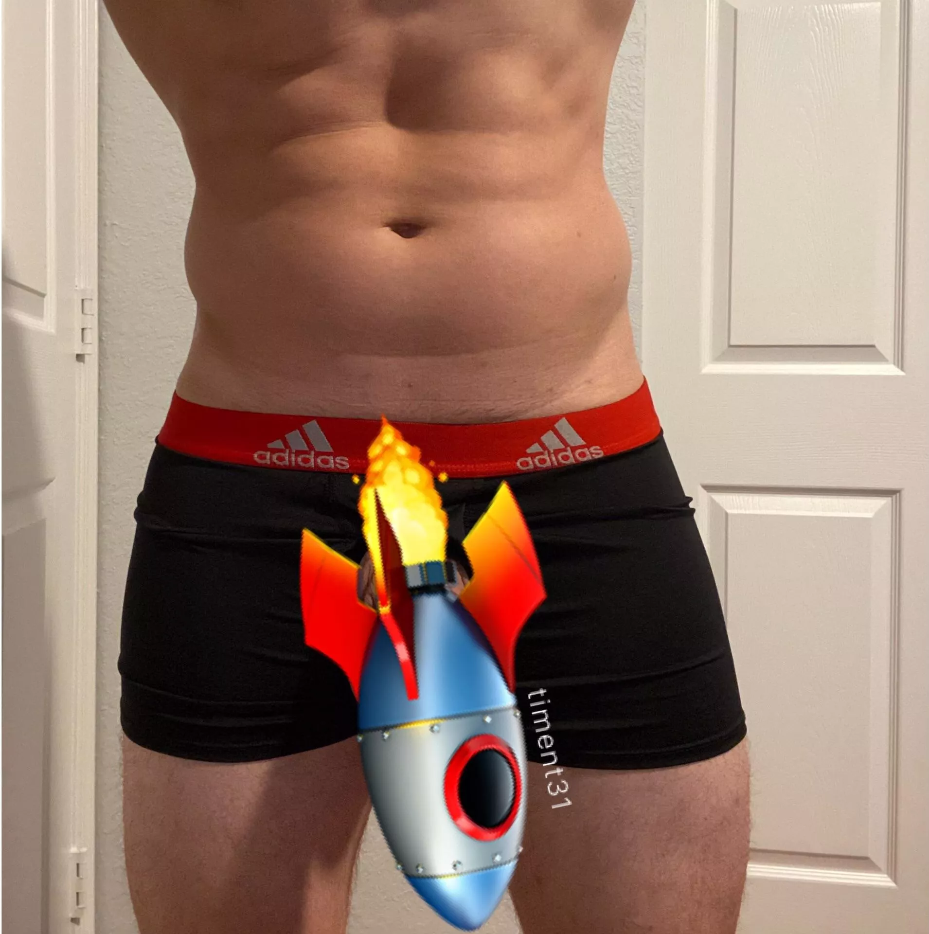 31 M Well hung fit bull visiting NYC next week and can host posted by timent31