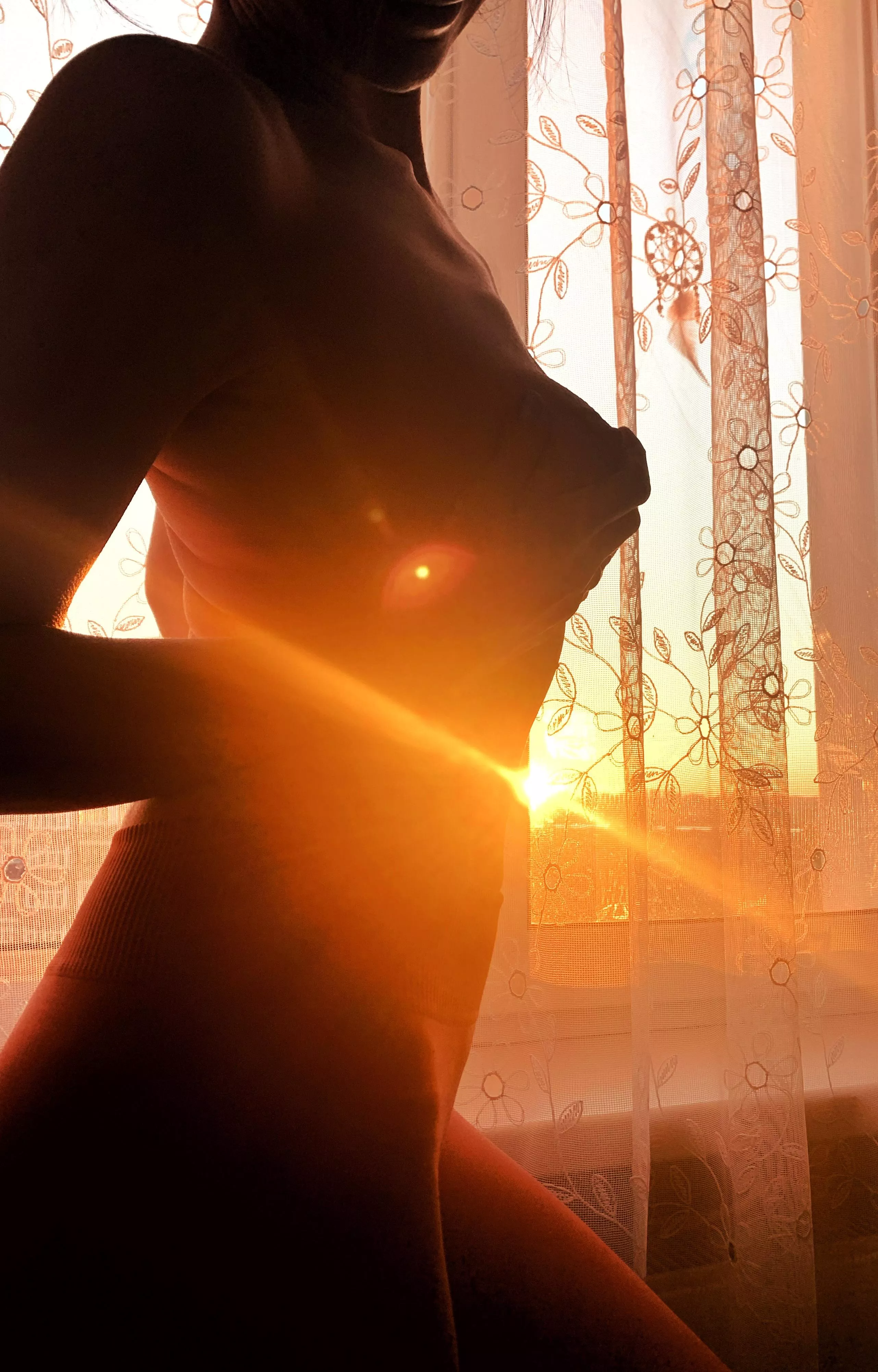 A moment in the sun’s embrace posted by Nerdbird_OF