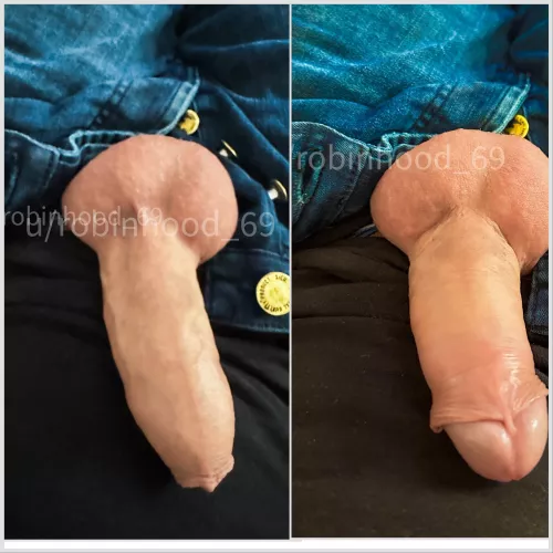 Are you a fan of penis with their skin on or off? Here are ten different proposals by Robinhood_69