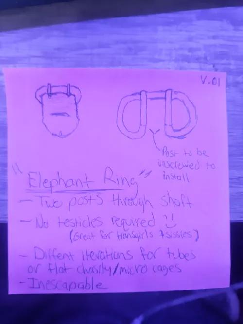 Did I just revolutionize chastity forever? Or am I getting ahead of myself? by FeliciaFullPants