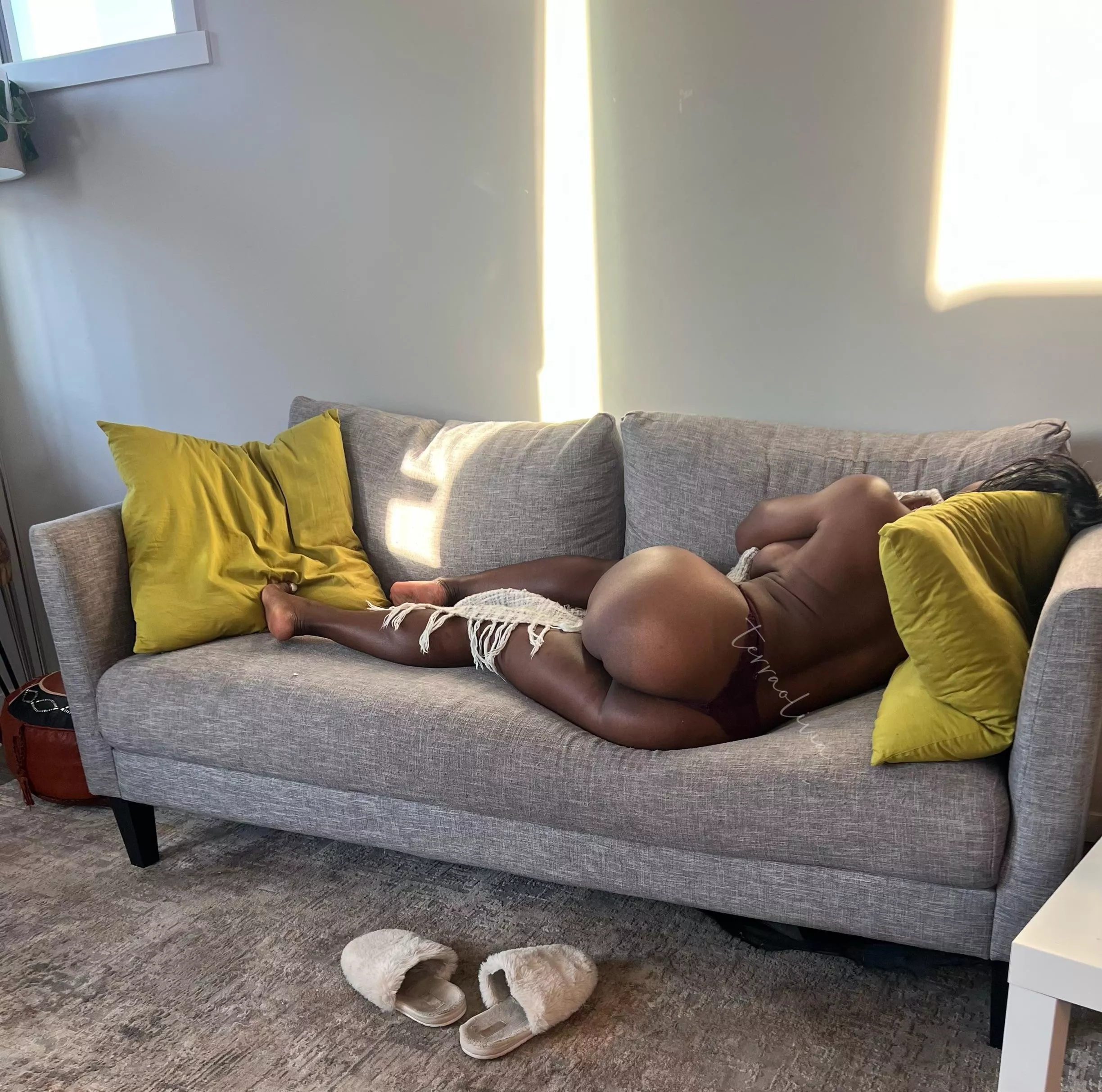 Join me for a mid morning nap? posted by terraolivia