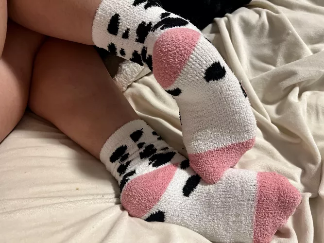 Moo by teddysticklytoes