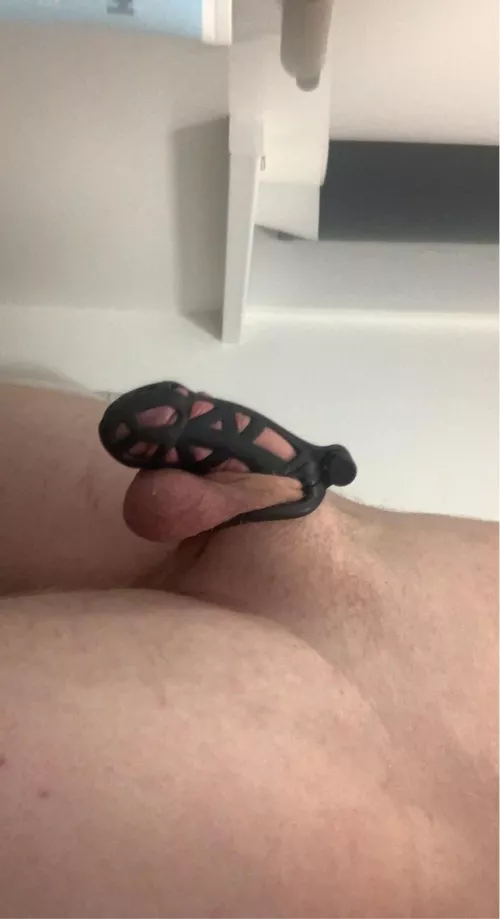 someone please please force me to watch 🥺 by Aggressive_Ad4913