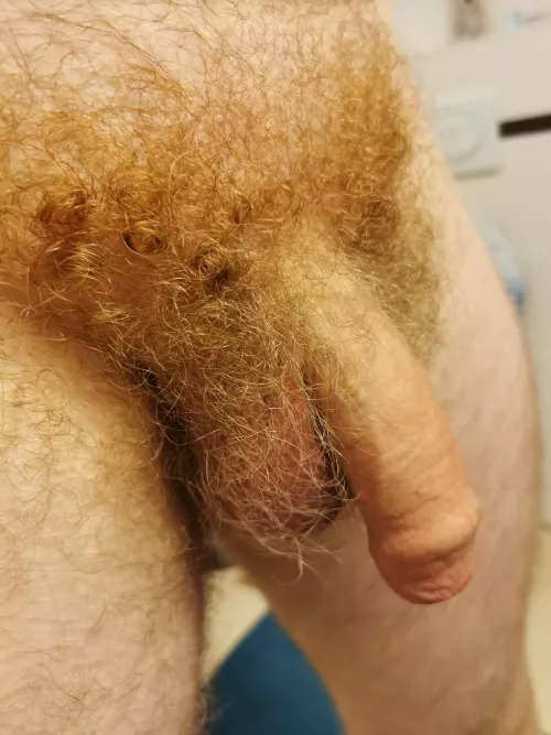 Who likes my sweaty curls after sports? ⚽🏃‍♂️ by LongDonJohn86