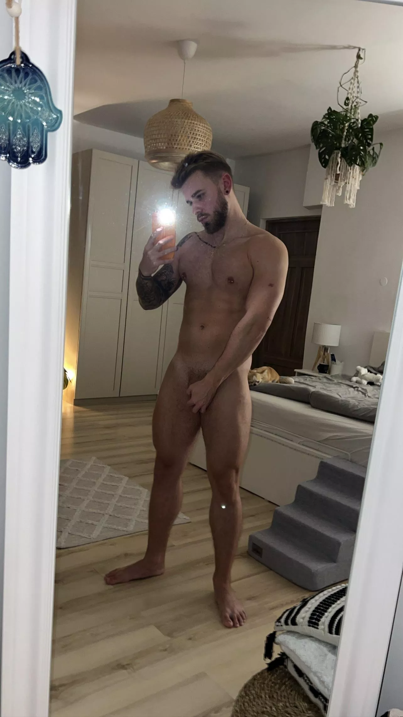 you think my dog has a good view? posted by zaniewskimichal