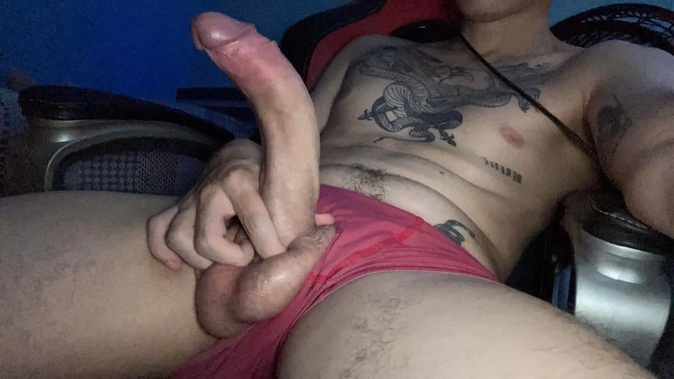 21 - bi / femboys, twinks, str8 curious, hmu with body pic for snap / longterm++ posted by baalsheeba
