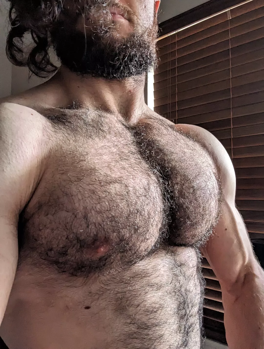 Any love for my hairy pecs? posted by ProfessionalBench572