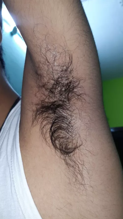 Can we worship eachother armpit?? If yes then DM me by Alert_King5502