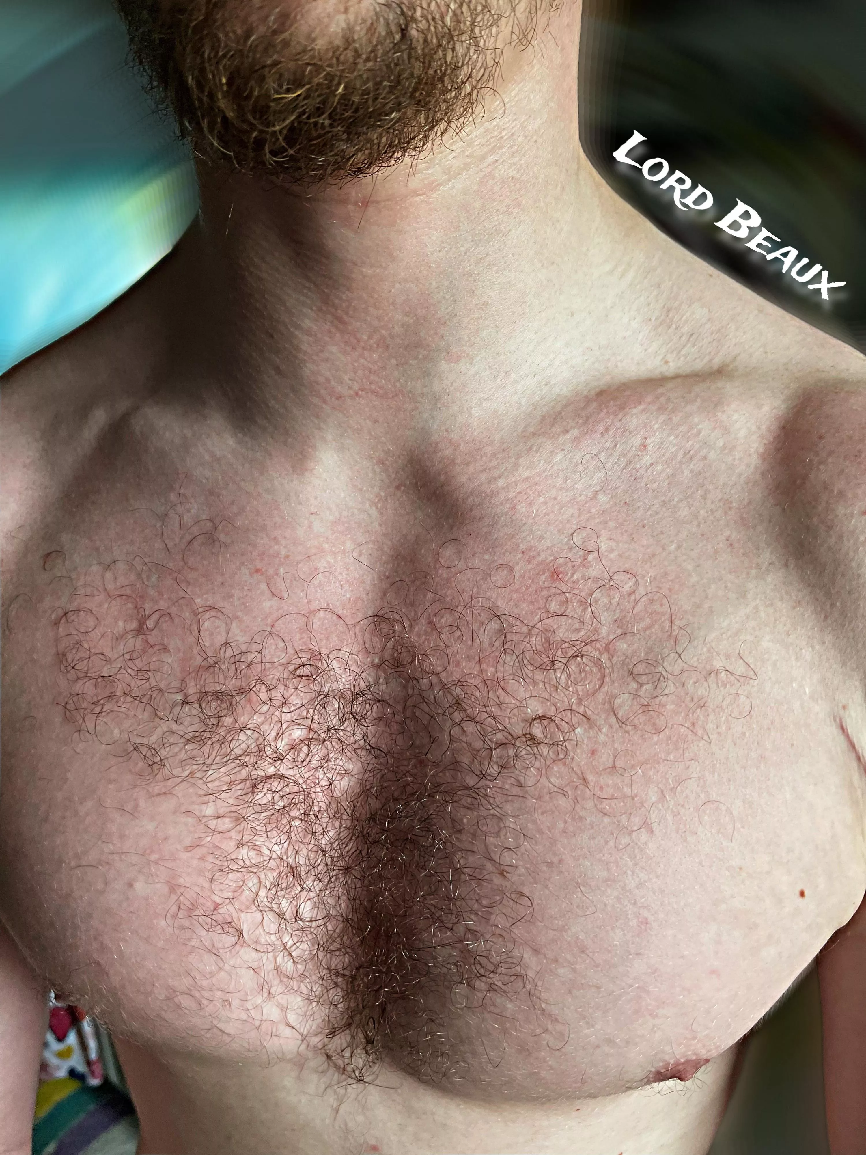 Chest porn is the best porn! posted by LordBeaux