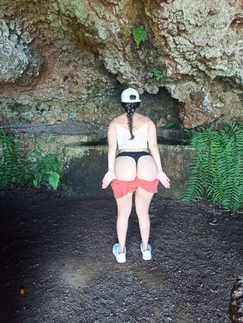 Do you want to walk in the woods with me?? by sam_my_friend