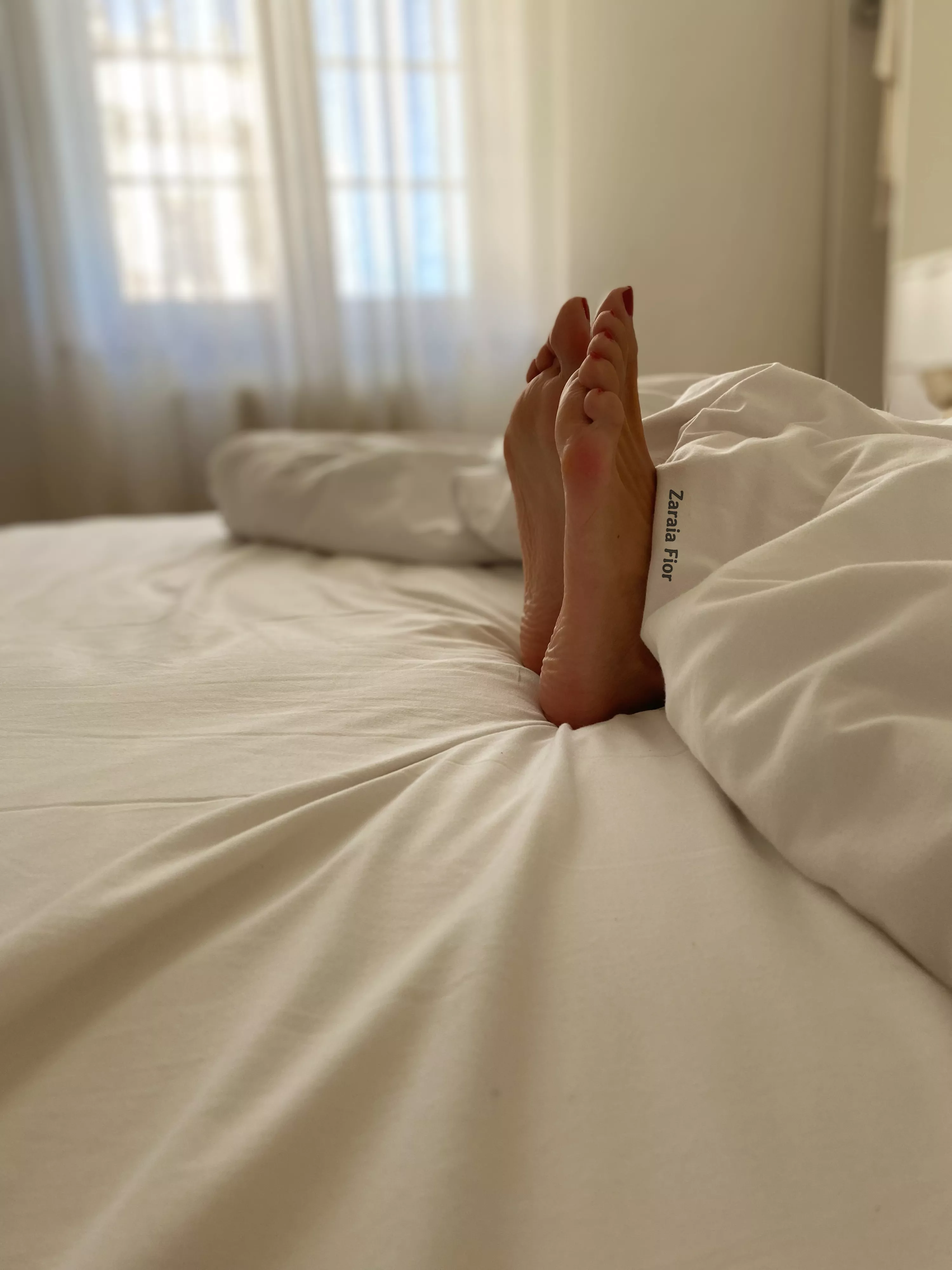 Good morning everyone! 🥰 posted by ZaraiaFior