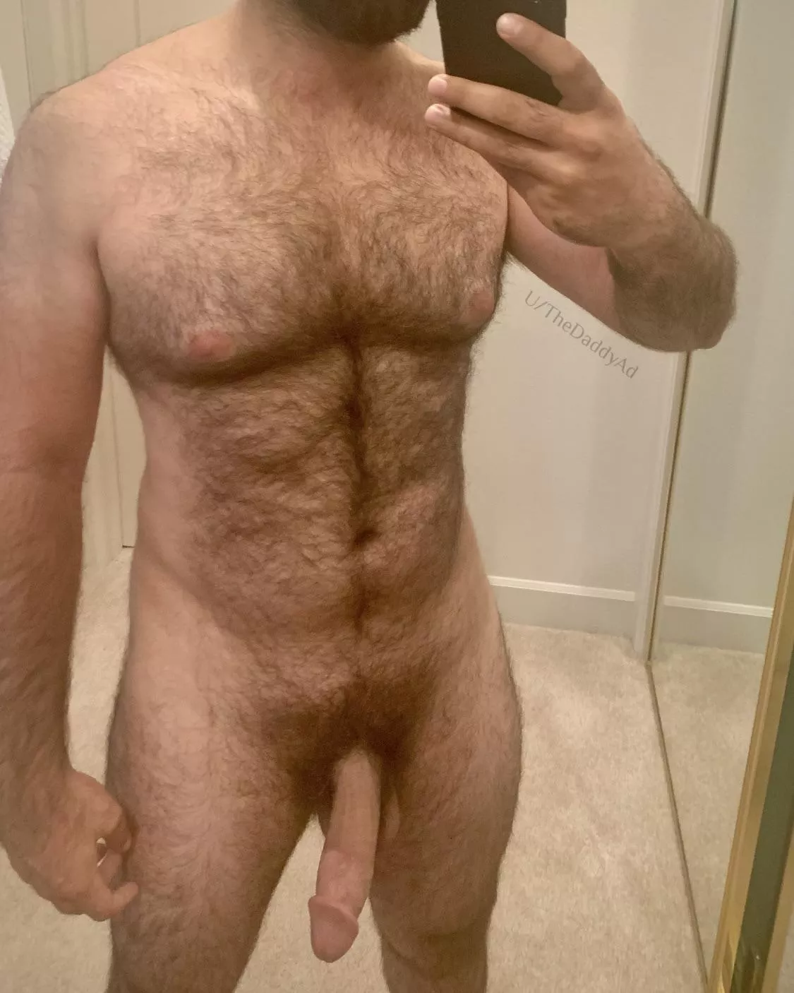 hairy dad dick is better posted by TheDaddyAd