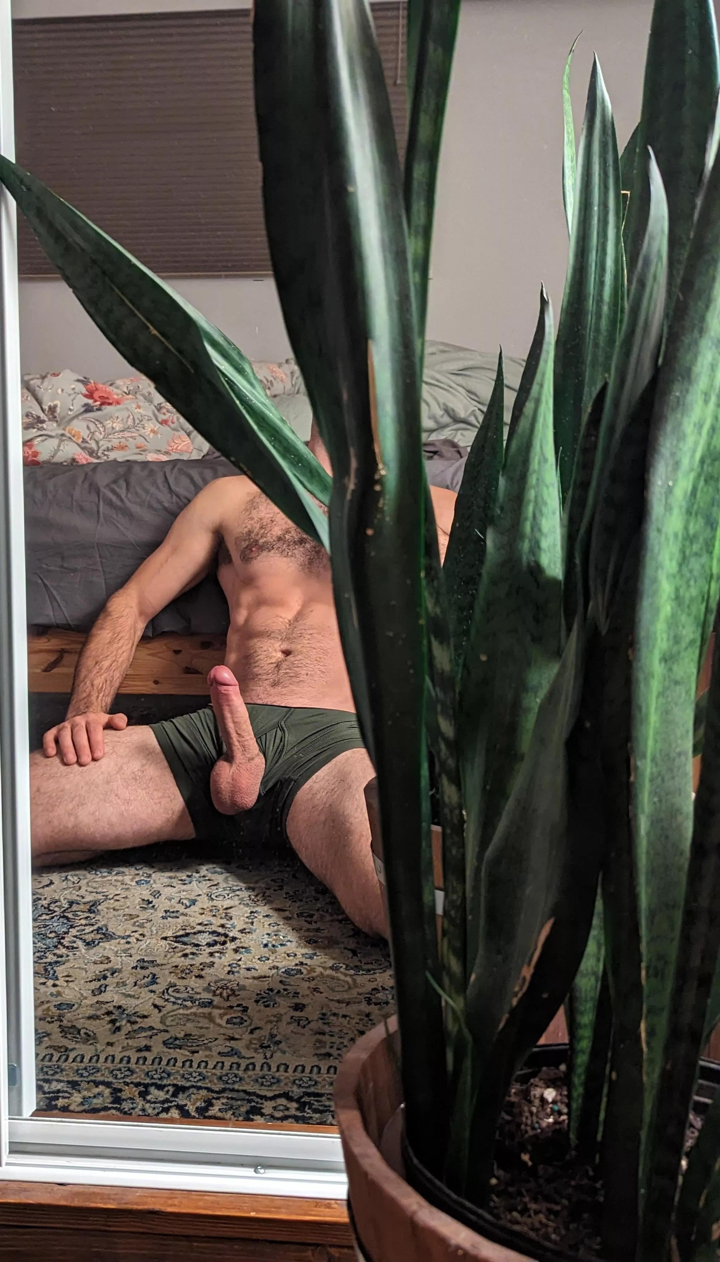 One snake is not like the rest posted by adventurbliss