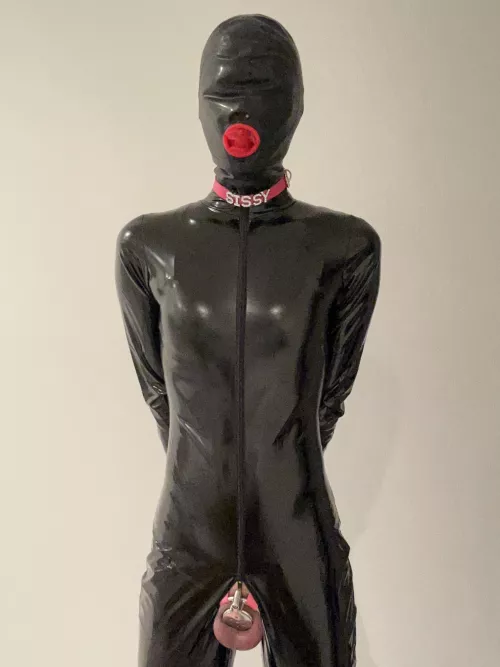 Turned into a free-use doll by embarrassed_bunny