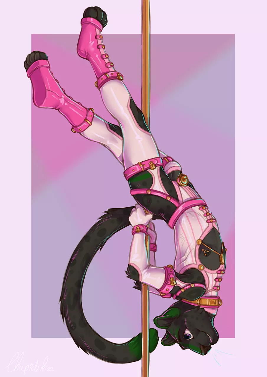 Undercover infiltration 2 (Ferolux) posted by ChelseaCatScot