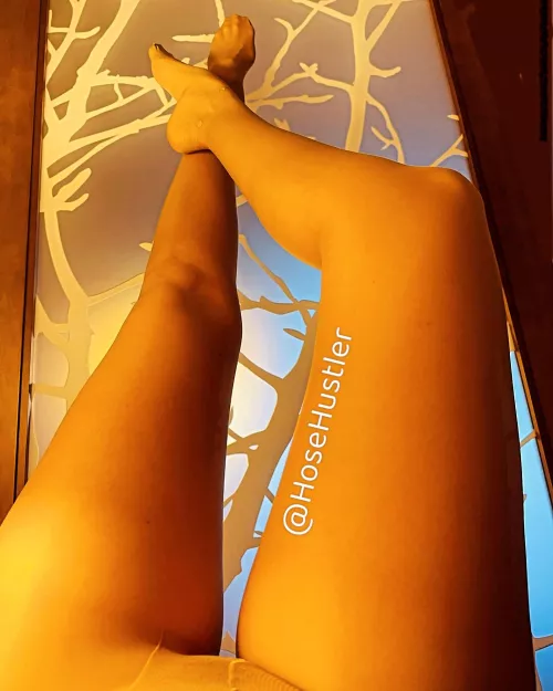 Wanna shake my tree? 🍑🌳 by HoseHustler