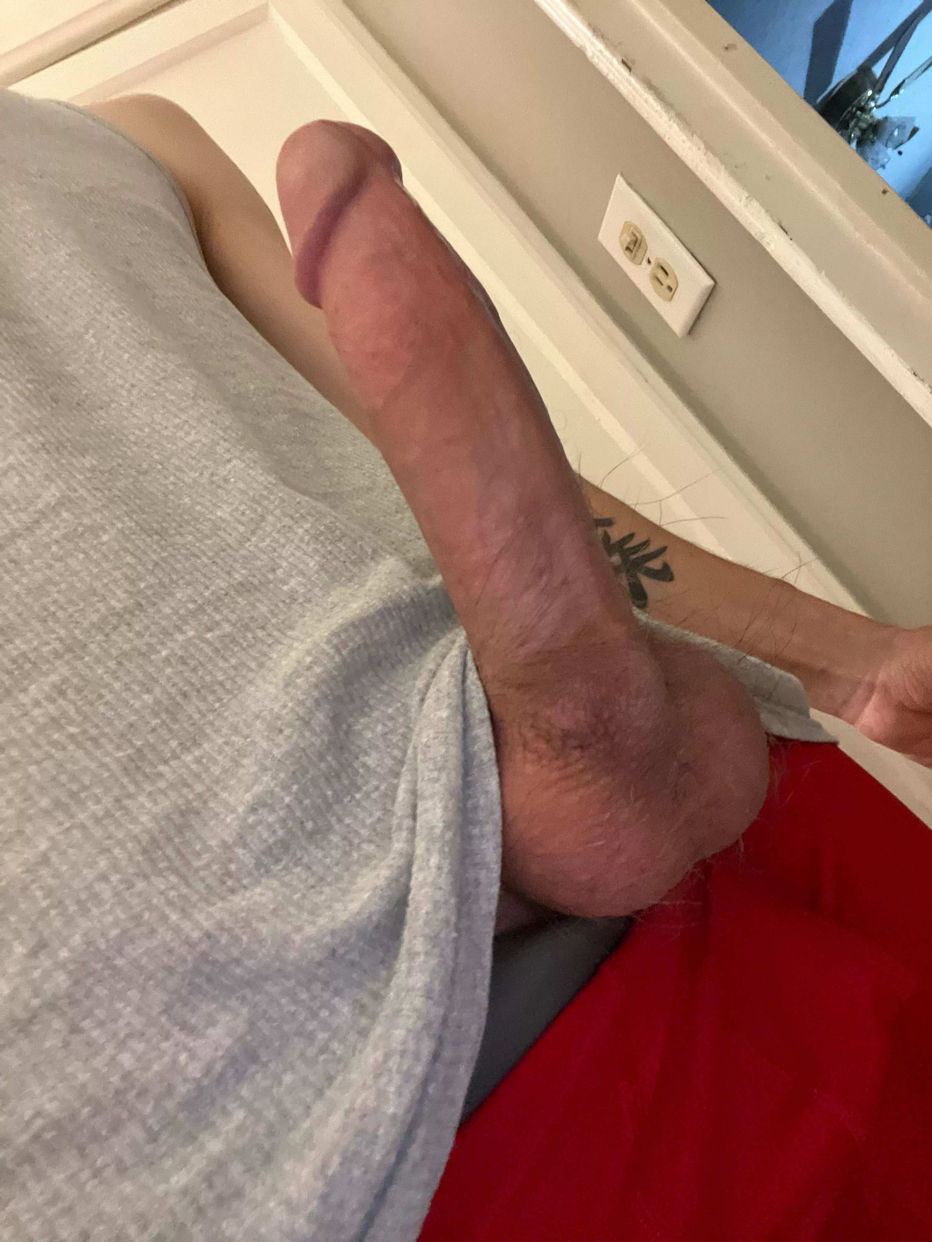 Wish I had a curious neighbor posted by sureostrich69