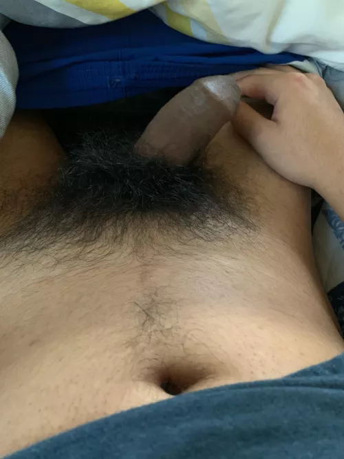 Fuck I love having a bushy penis by 17901Apo