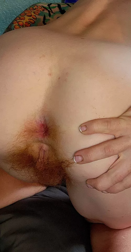 Holy day by ababypinecone