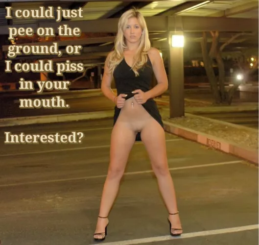 I could... by thebaronkrelve