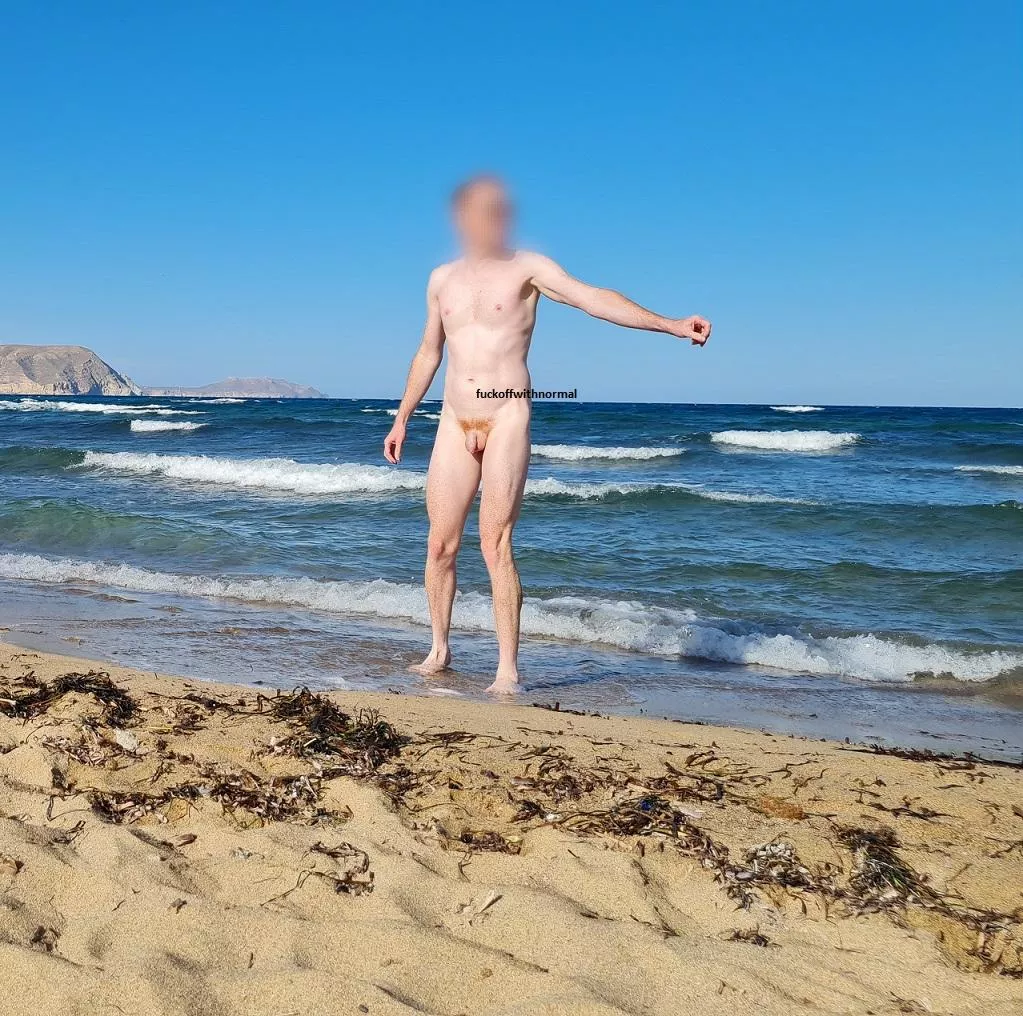 Island Life! posted by fuckoffwithnormal