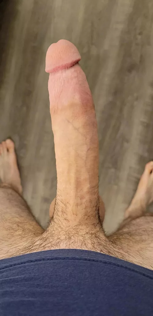 Let me breed you? by MrTambourineMan69