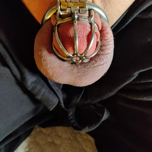 New cage. Took a while to get on. by Neored1979