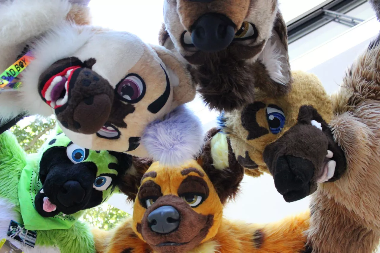 POV: You've come to the wrong neighbourhood [Hyena-Meetup at Eurofurence2023] posted by Zephias_Yeen