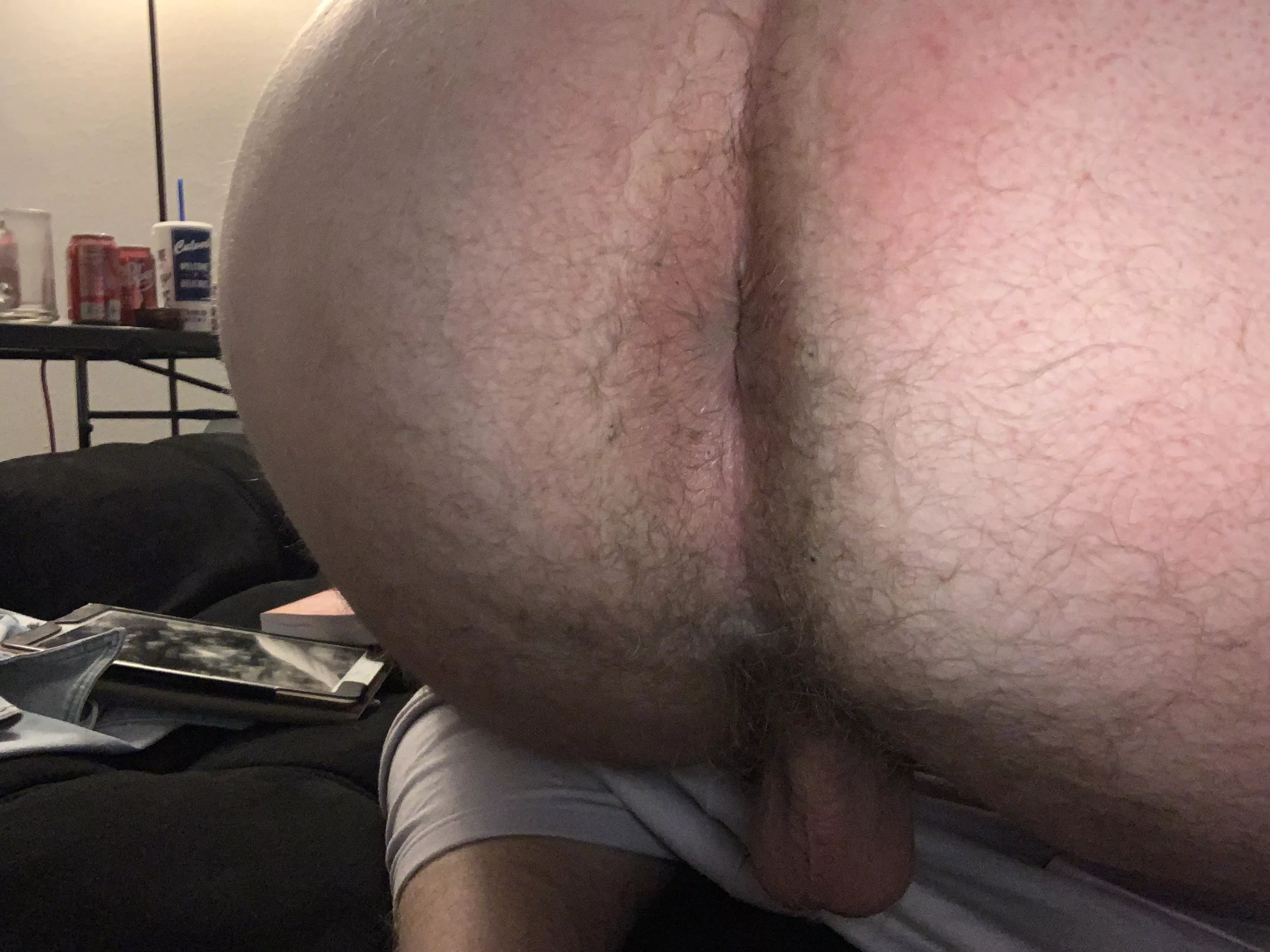 Someone done breed this ass posted by Beneficial-Tap7340