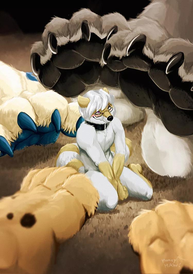 The Communal Pawbitch posted by Direct_To_VHS