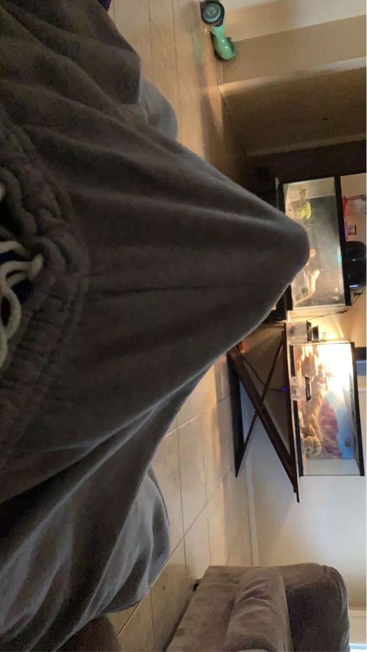 19 m posted by eeglu