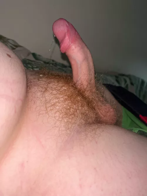 Anyone like it by No-Contract2027