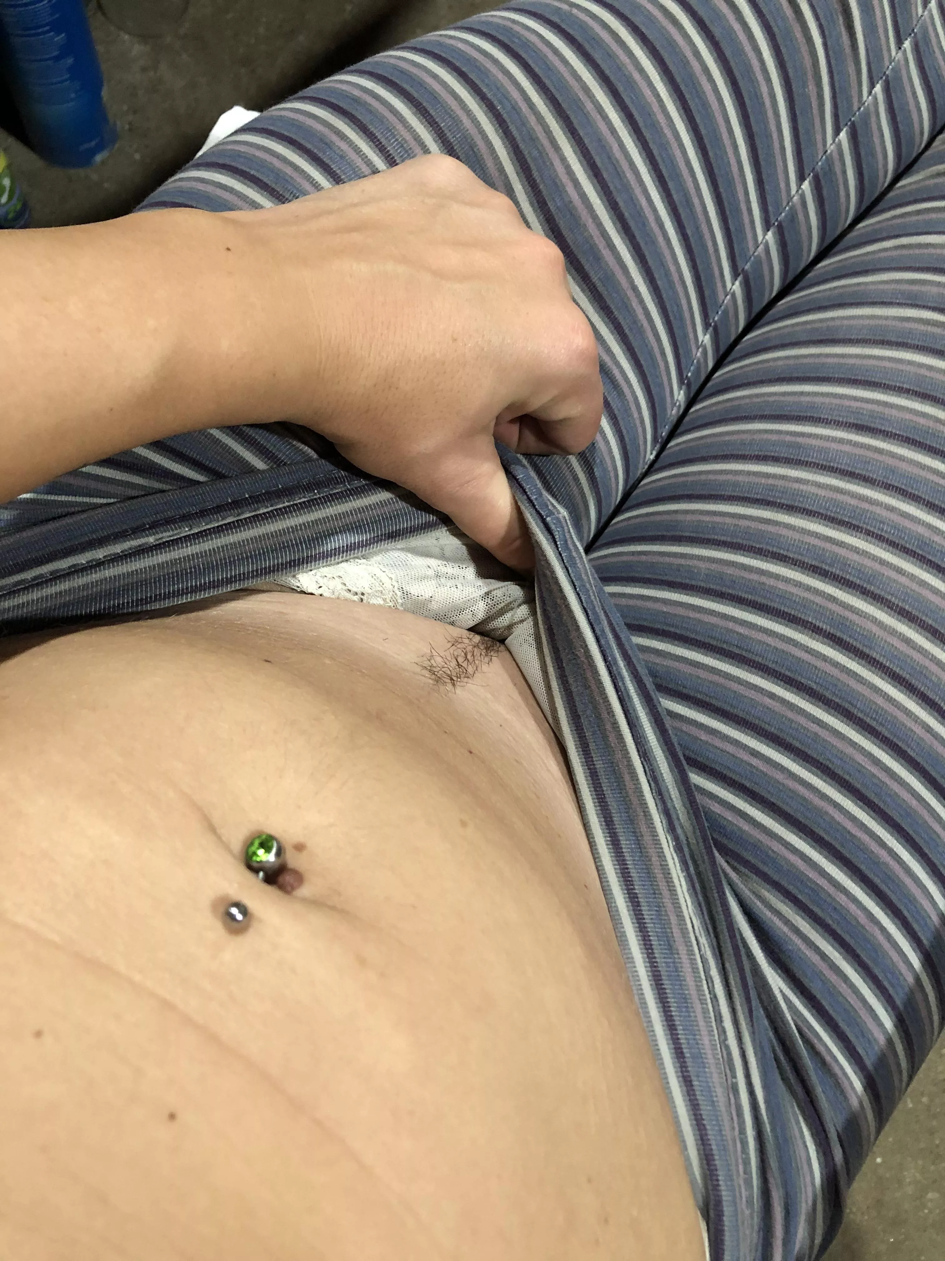 budding hairy cat! posted by victoryahunter91