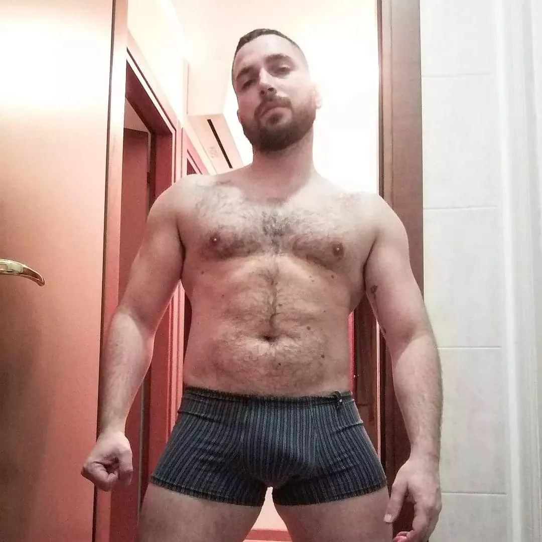 Do I fit the bill to be a bear ? by BarrattC85