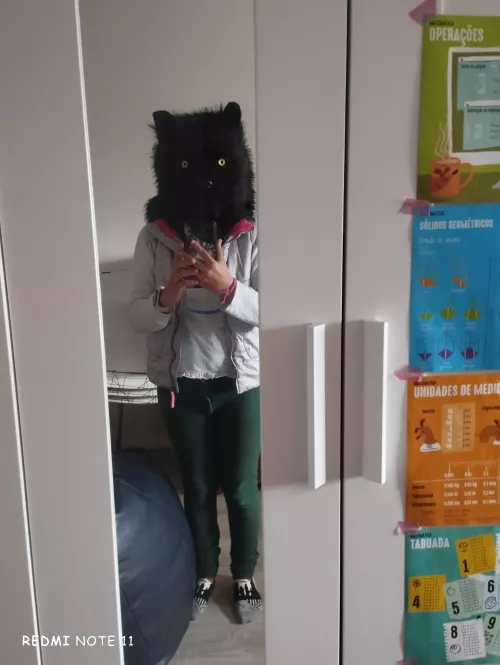 Does this count as a fursuit? by HEV_dog_official