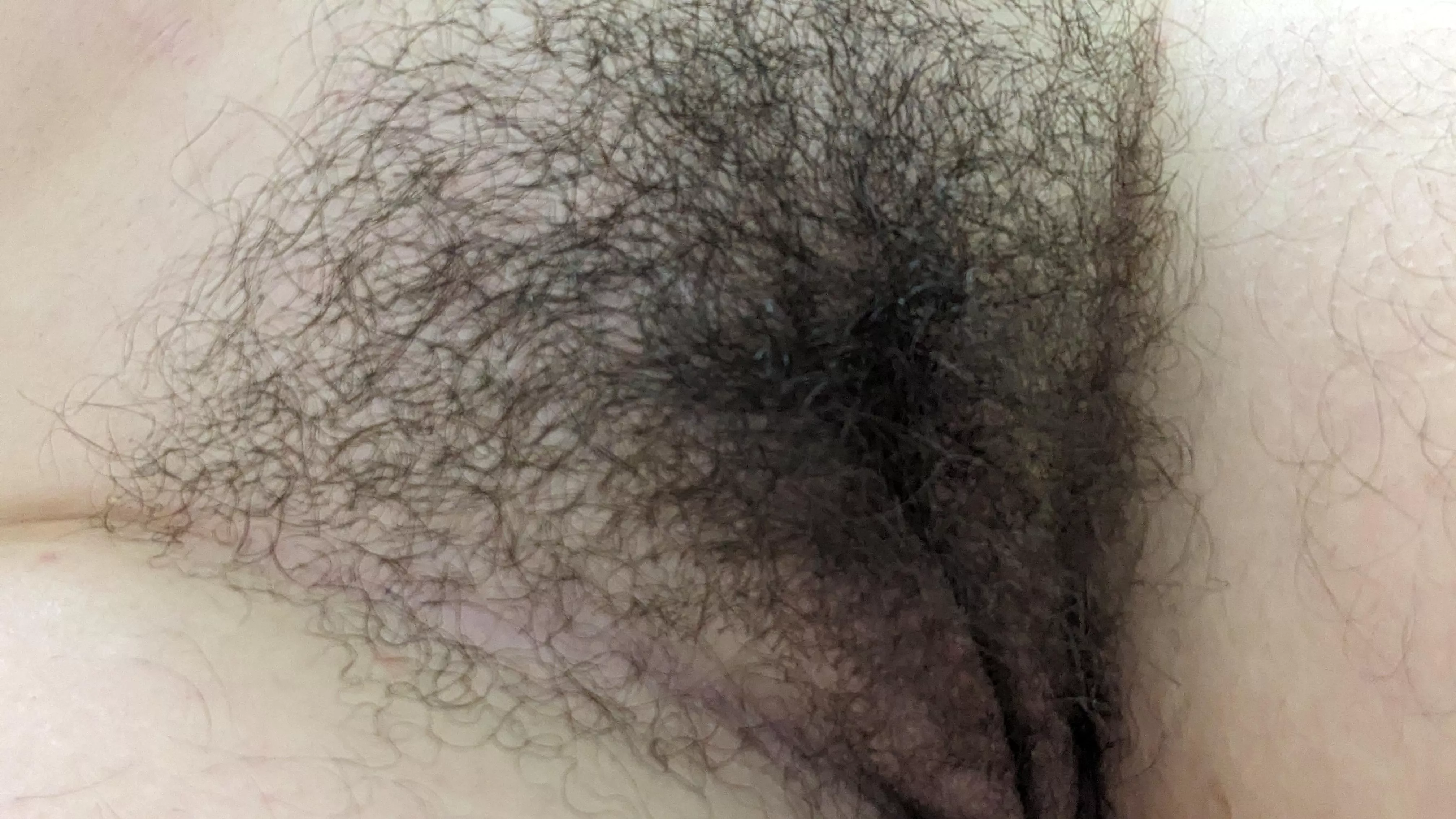 I've been growing it out for a while now posted by dumbtchcocktail