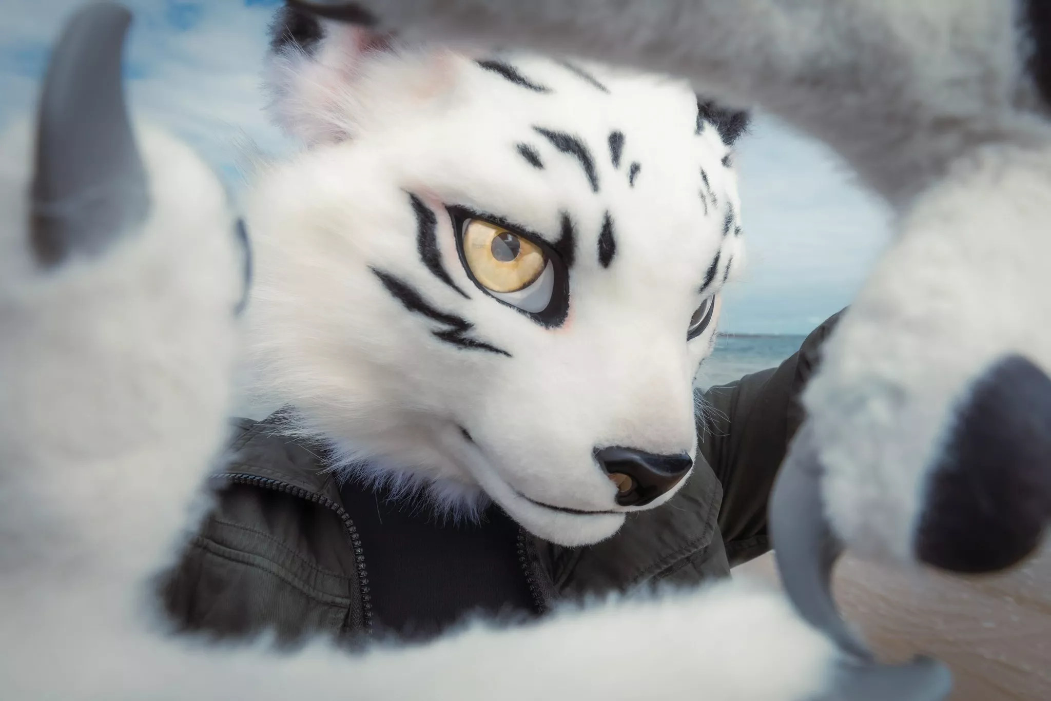 @KureiShyu on Twitter posted by Dragoniel