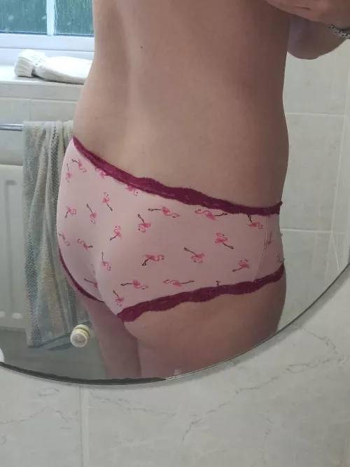 Please be my boyfriend 💞💞 by Alternative-Dish445