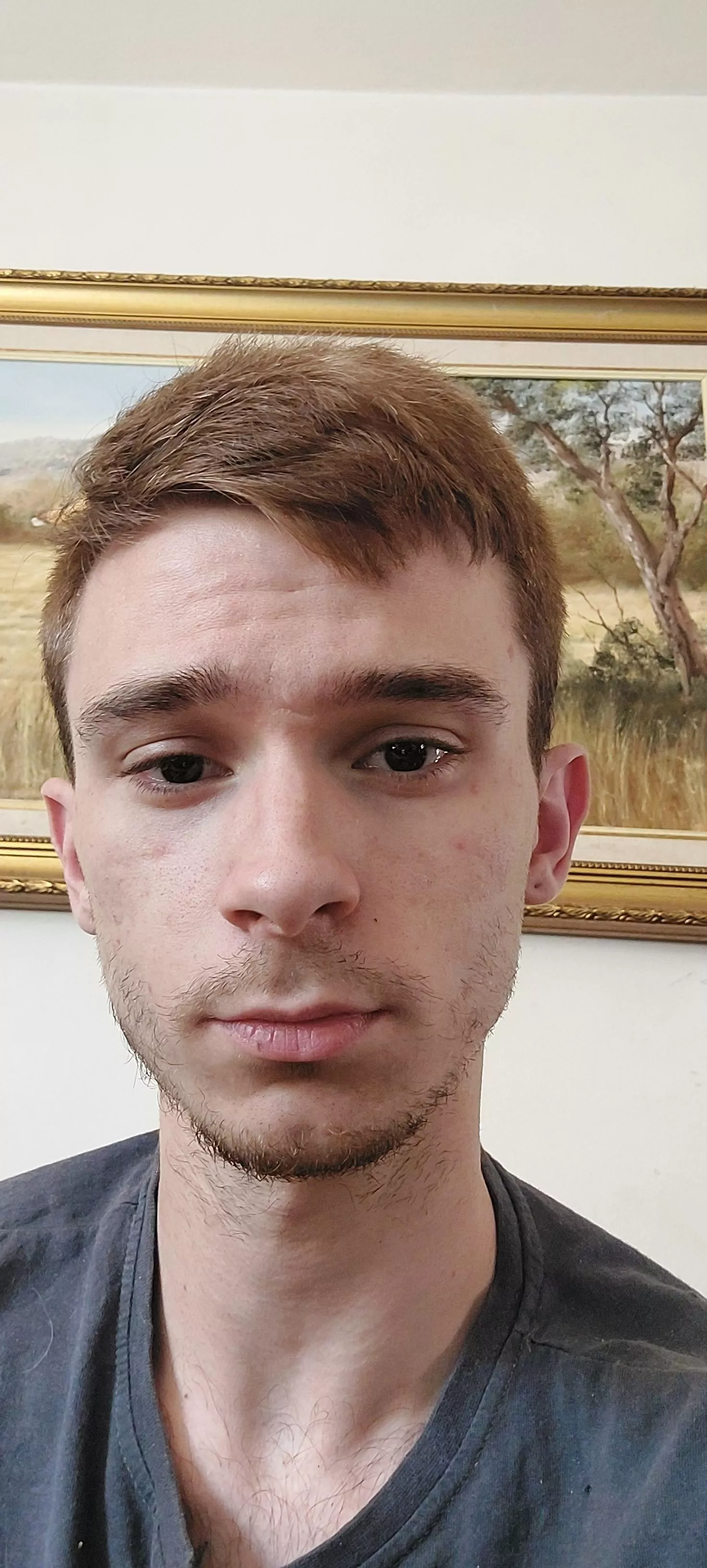 Scruffy lol posted by Acrobatic-Bake2084